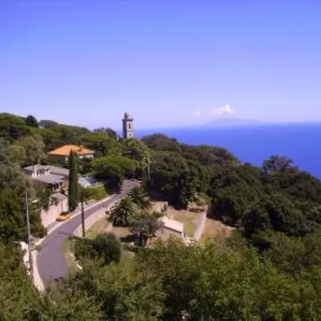 Villajo
